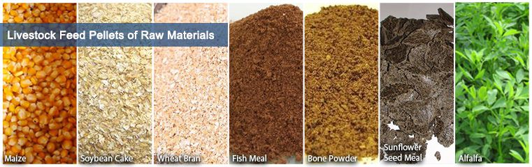 Raw Materials to Make Livestock Feed Pellets
