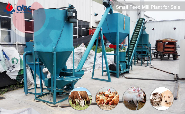 Setting Up Muti-Functional Feed Pellet Plant for Livestock and Poultry