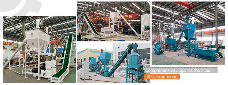 Setup Animal Feed Pelletizing Plant at Low Cost