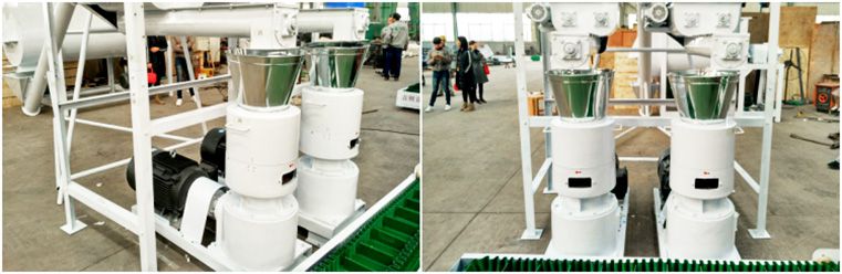 Small Cattle Feed Pellet Manufacturing Machines