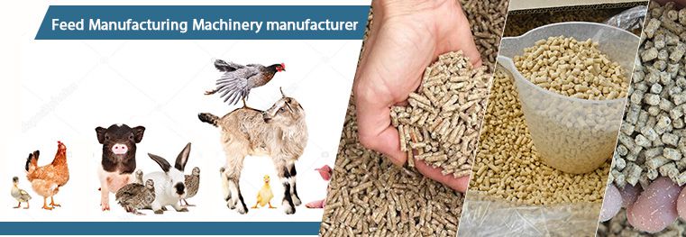 Small Scale Poultry Feed Manufacturing Machinery for Sales